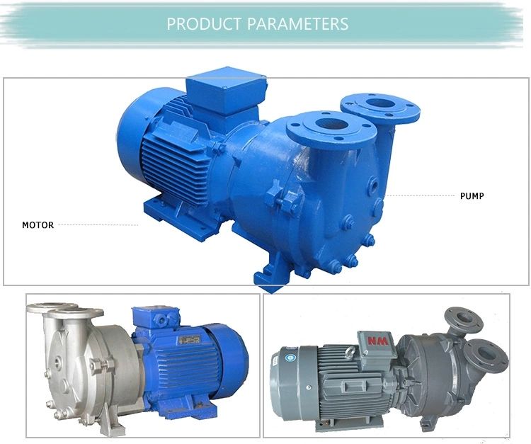 2BV Series Water Ring Vacuum Pumps