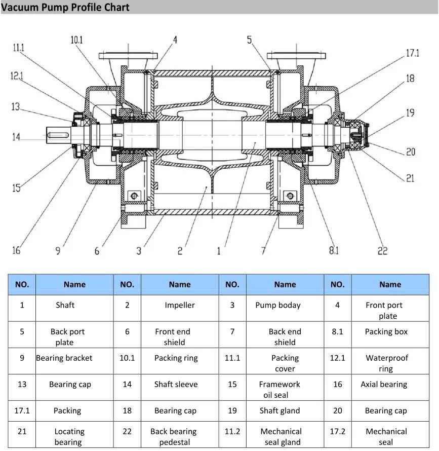 2BE Series Water Ring Vacuum Pump