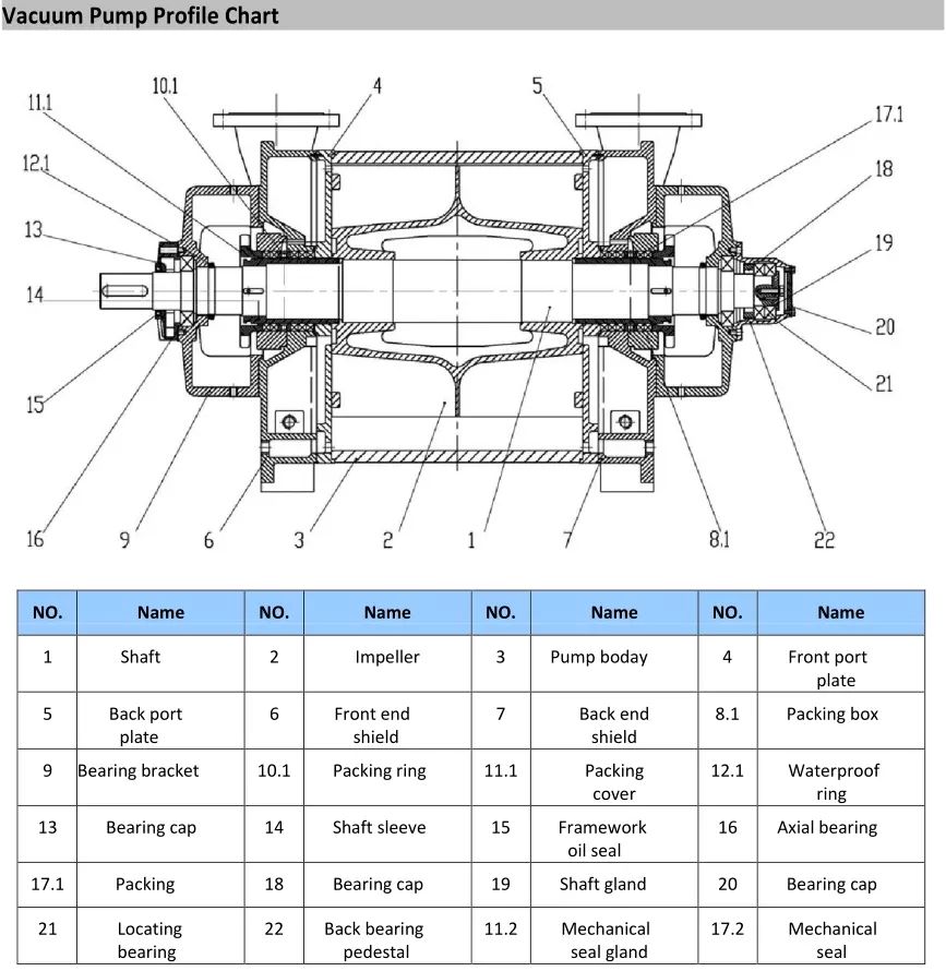 2BE Series Water Ring Vacuum Pump